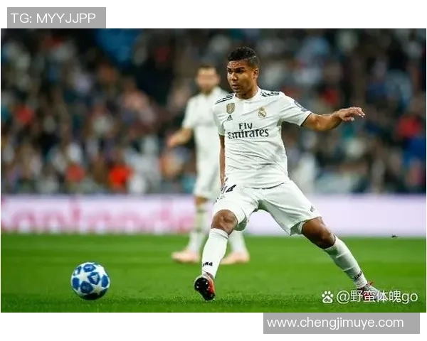 足球明星座位套的独特魅力与时尚设计让每位球迷都能感受到赛场的热情