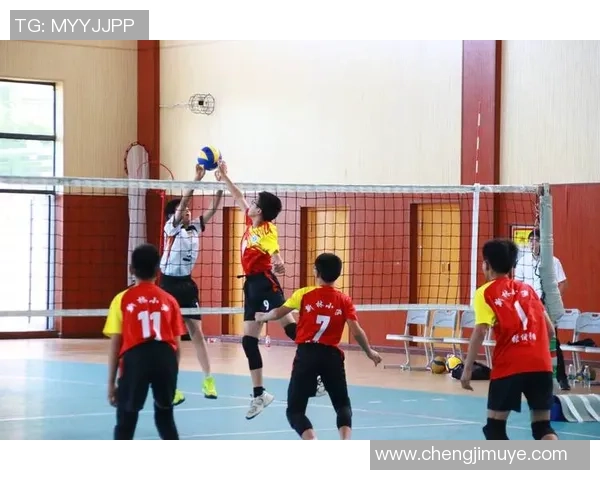 重庆排球队在世锦赛中的速度表现分析与未来展望