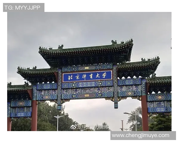 北京网球队灵活性排名创新高展现出色竞技水平与团队合作精神